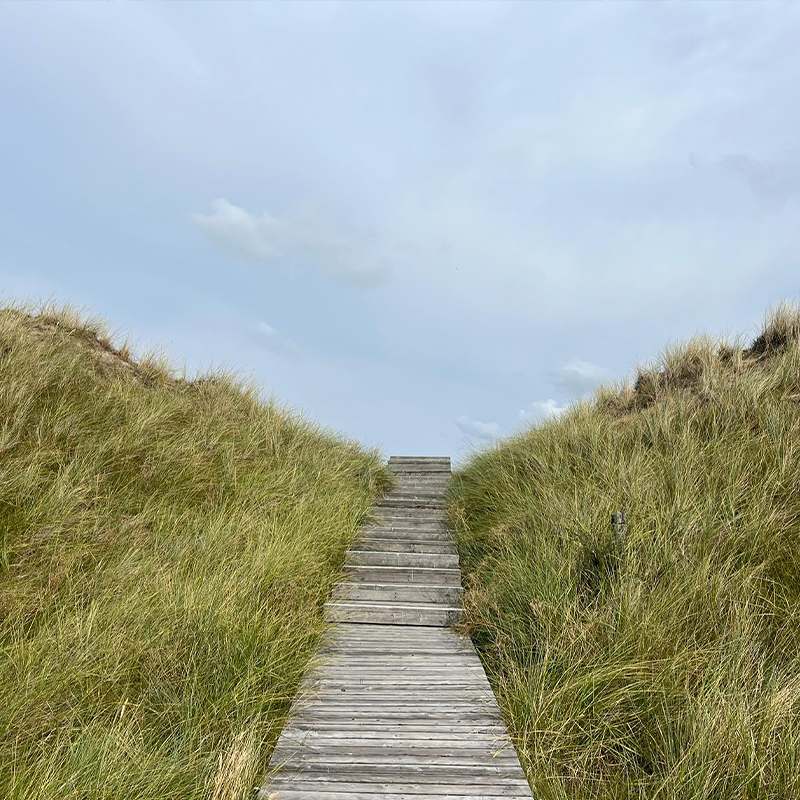 Biodynamische Craniosacraltherapie und Supervision - Anja Weiss Heilpraktikerin - Qualifikationen Anja Weiss- Ein Weg auf Amrum scheint in den Himmel zu führen.