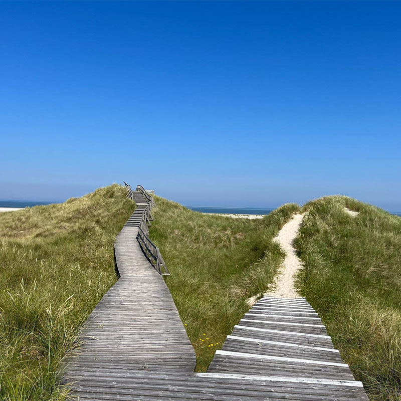 Qualifikationen Anja Weiss